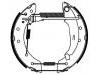 刹车蹄片 Brake Shoe Set:4241.9F